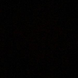 Meet your Posher, Ava